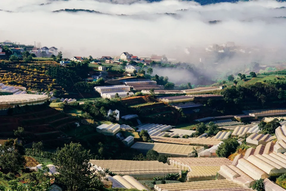 Rổ nông sản vừa hái
